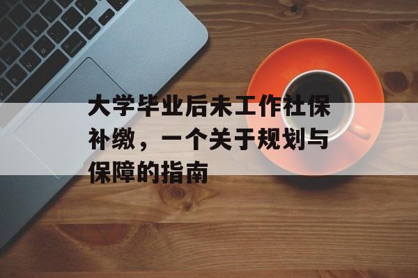 大学毕业后未工作社保补缴，一个关于规划与保障的指南