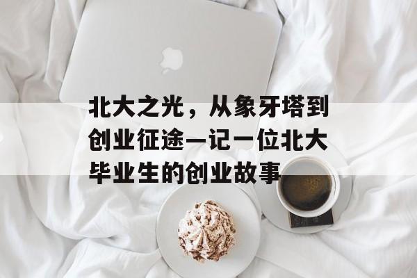 北大之光，从象牙塔到创业征途—记一位北大毕业生的创业故事