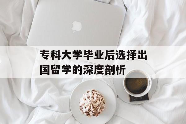 专科大学毕业后选择出国留学的深度剖析 专科大学毕业后选择出国留学的深度剖析