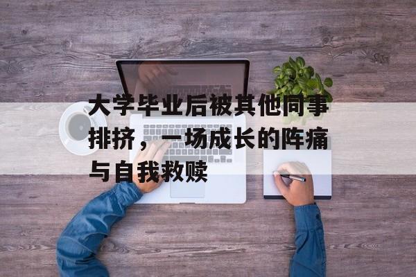 大学毕业后被其他同事排挤,一场成长的阵痛与自我救赎 大学毕业后被其他同事排挤,一场成长的阵痛与自我救赎