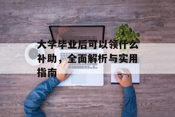 大学毕业后可以领什么补助，全面解析与实用指南