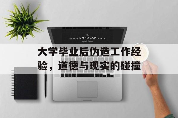 大学毕业后伪造工作经验，道德与现实的碰撞