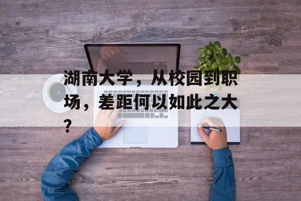 湖南大学,从校园到职场,差距何以如此之大? 湖南大学,从校园到职场,差距何以如此之大?
