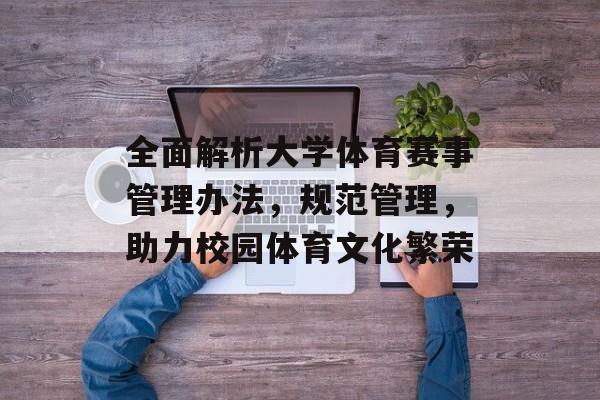 全面解析大学体育赛事管理办法，规范管理，助力校园体育文化繁荣