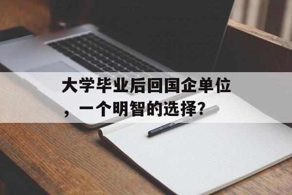 大学毕业后回国企单位,一个明智的选择? 大学毕业后回国企单位,一个明智的选择?