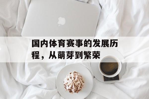 国内体育赛事的发展历程，从萌芽到繁荣