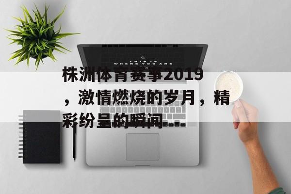 株洲体育赛事2019,激情燃烧的岁月,精彩纷呈的瞬间 株洲体育赛事2019,激情燃烧的岁月,精彩纷呈的瞬间