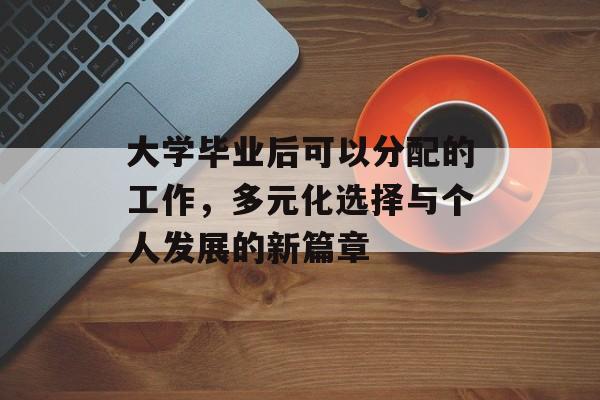 大学毕业后可以分配的工作，多元化选择与个人发展的新篇章