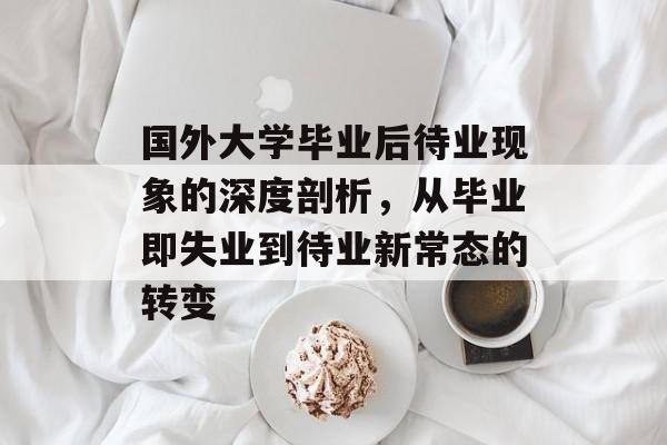 国外大学毕业后待业现象的深度剖析,从毕业即失业到待业新常态的转变 国外大学毕业后待业现象的深度剖析,从毕业即失业到待业新常态的转变