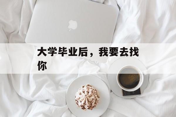 大学毕业后，我要去找你