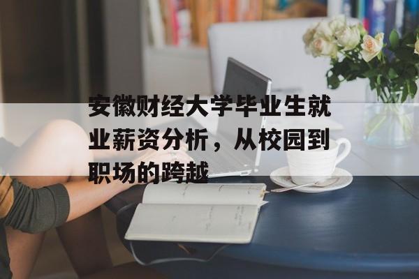 安徽财经大学毕业生就业薪资分析，从校园到职场的跨越