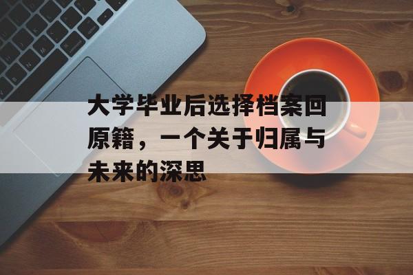 大学毕业后选择档案回原籍，一个关于归属与未来的深思