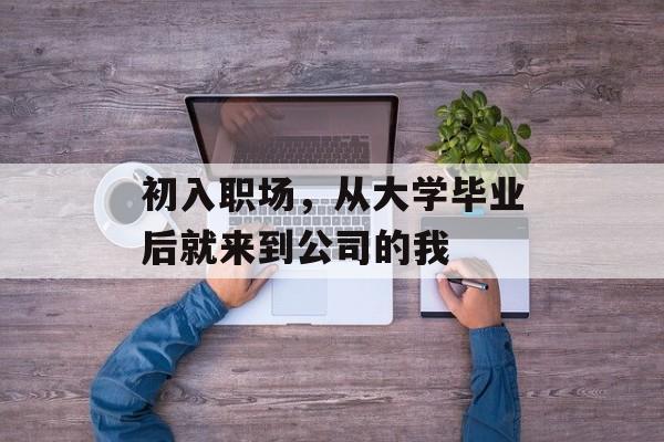 初入职场，从大学毕业后就来到公司的我