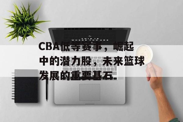 CBA低等赛事，崛起中的潜力股，未来篮球发展的重要基石